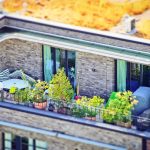 Pourquoi choisir un professionnel pour la livraison de fleurs ?